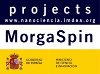 MorgaSpin Towards Multifunctional organic-based Spintronics MorgaSpin Towards Multifunctional organic-based Spintronics